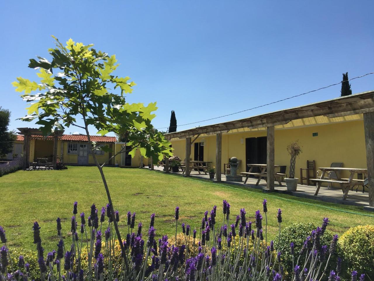 Hotel Quinta San Antonio Нопалукан-де-ла-Гранха Экстерьер фото